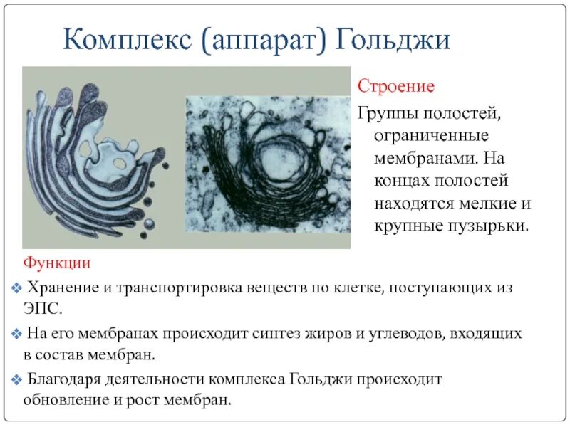 Функция ag
