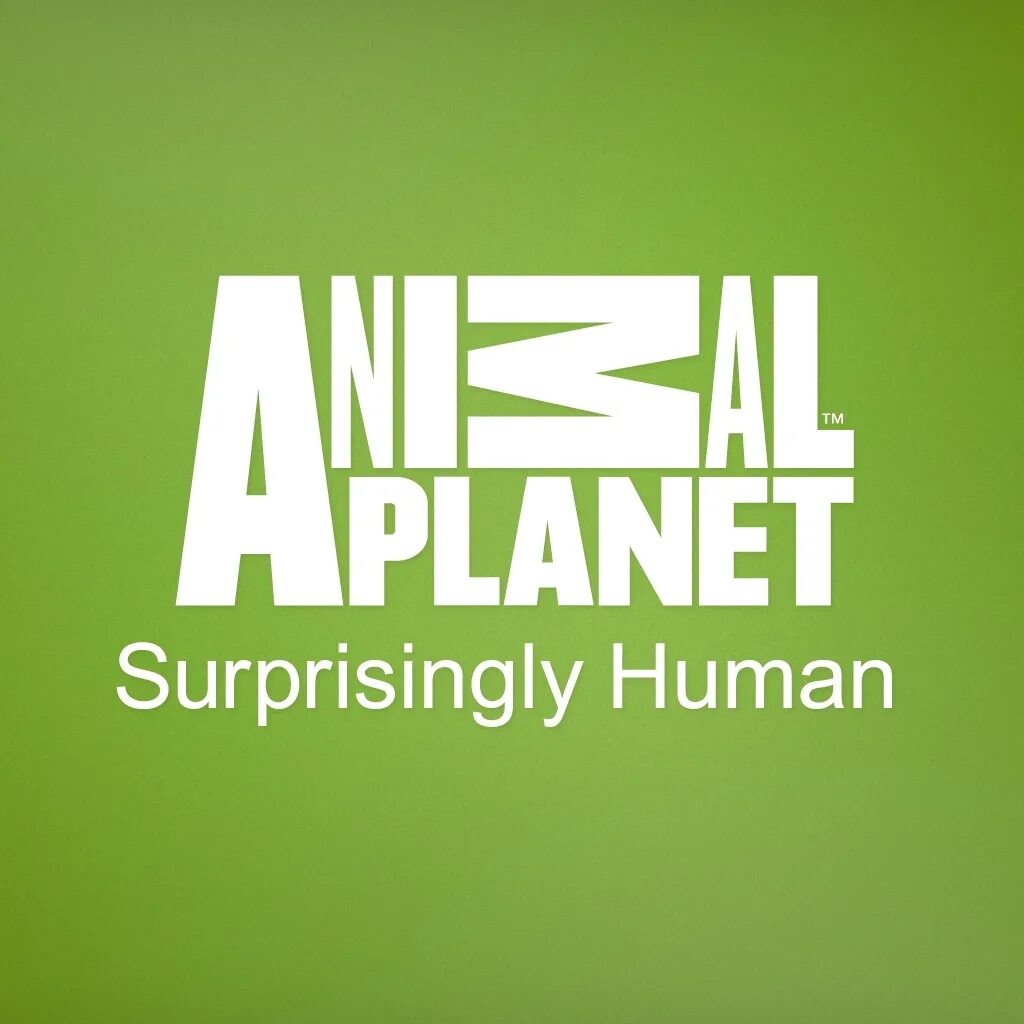 Энимал планет. Телеканал animal planet hd. Телеканал animal planet. Энимал планет. Энимал планет логотип канала.