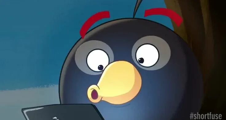 Birds rule 34. Angry Birds Rule 34. Черная птица бомба. Angry Birds Stella Rule 34. Bomb Bird Stars in Angry Birds update - short fuse.