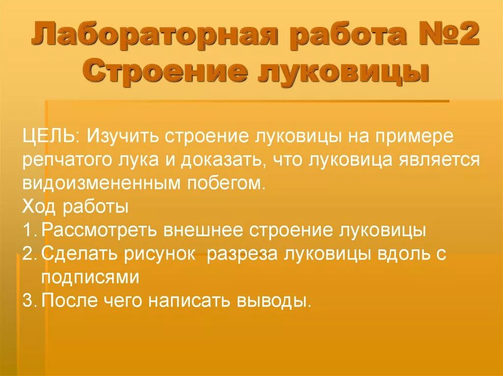 Видоизменения побегов - презентация онлайн 889