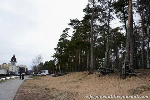 Погода зеленогорск ленинградская область на 3 дня