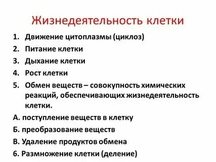 Какие процессы жизнедеятельности характерны для клетки