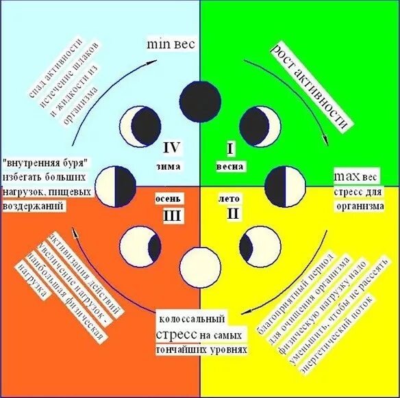 фазы луны ритуалы