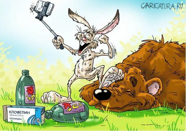 Басня медведь и заяц. Заяц карикатура. карикатура заяц и медведь. смешной заяц карикатура. медведь карикатура.