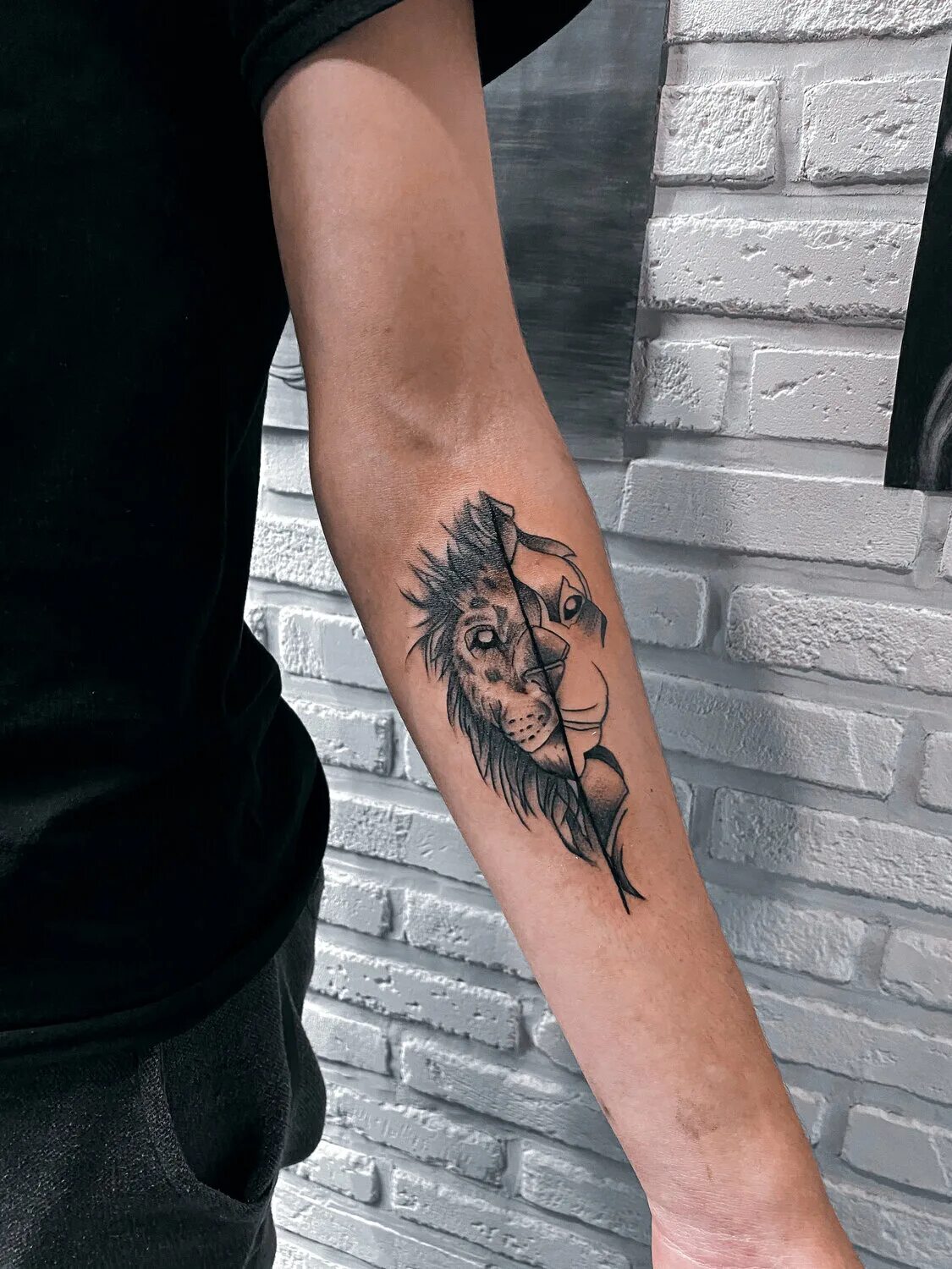 тату сфинкс эскиз. контурные тату эскизы. наколки для начинающих. тату для начинающих мастеров. легкие тату эскизы для начинающих.