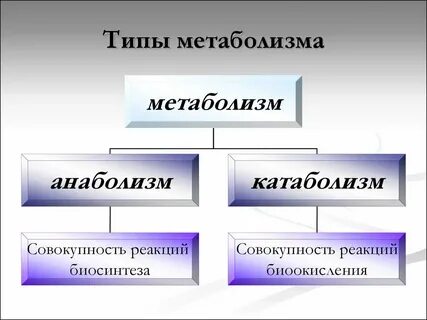 Какие вещества энергетические