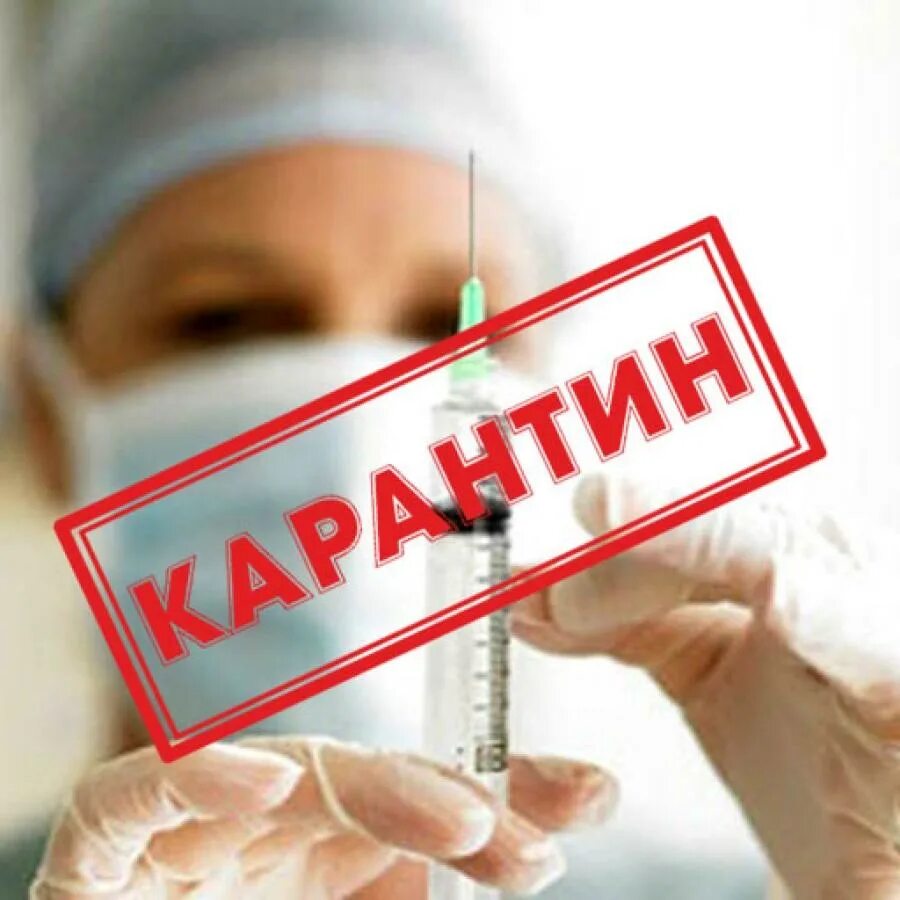 Карантин строго. Карантин. введение карантина. карантин картинки. карантин надпись.