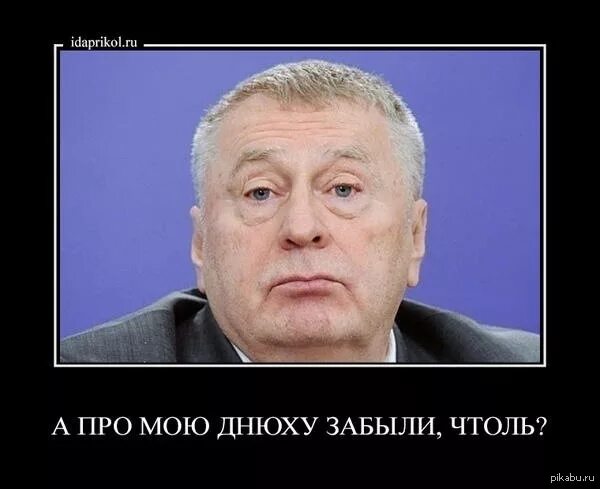 поздравления с днём рождения жириновский. памятники на новодевичьем кладбище. день рождения жириновского. поздравления с днём рождения жириновский. день рождения жириновского.