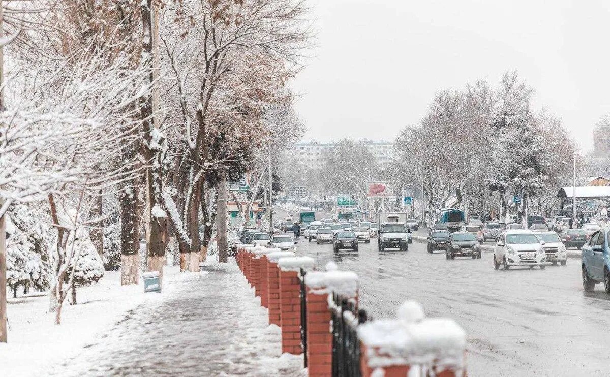 Ташкент январь. Ташкент зима 2021. Узбекистан Ташкент климат. Узбекистан Ташкент зимой. Зима в Ташкенте.
