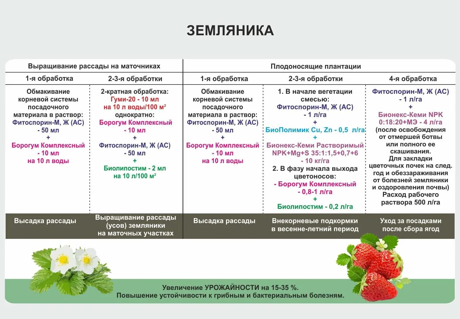 Обработка и подкормка малины весной