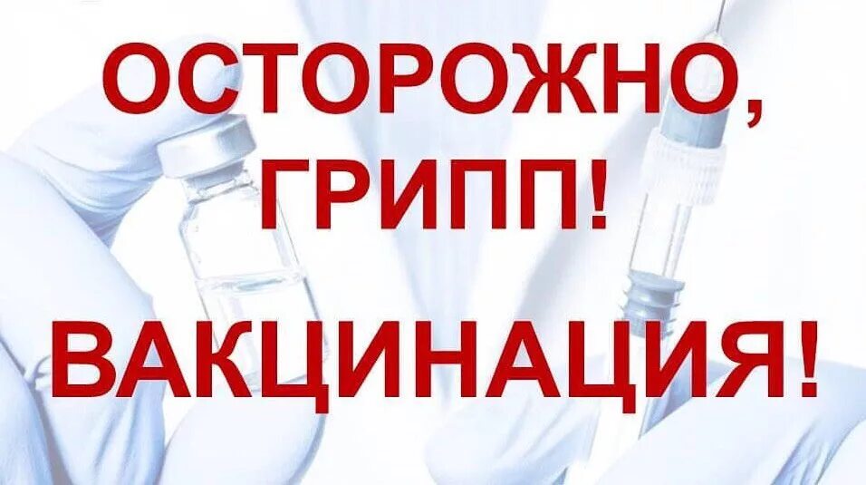 Вакцинация против гриппа. Иммунизациz против гриппа. Профилактика гриппа вакцинация. Вакцина от гриппа и ОРВИ. Привиты от гриппа