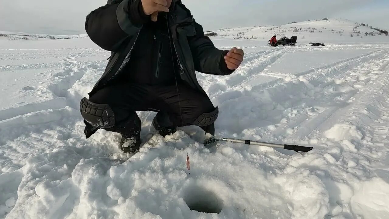 Форум рыбаков на севере. Северный Рыбак. Северная рыбалка. Рыбалка на гольца зима. Зимняя рыбалка в северных районах.