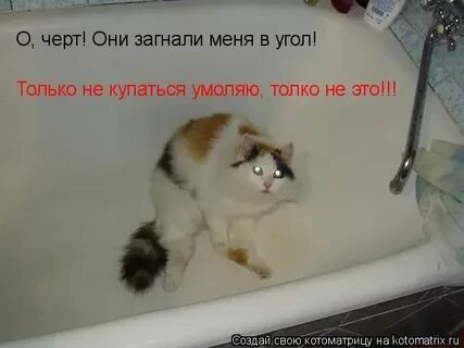 Вогнать в краску это