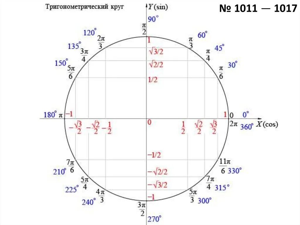 Tg t 8. Тригонометрический круг 3п. Единичная окружность синус косинус. Круг значений синусов и косинусов. Тригонометрическая окружность с градусами.