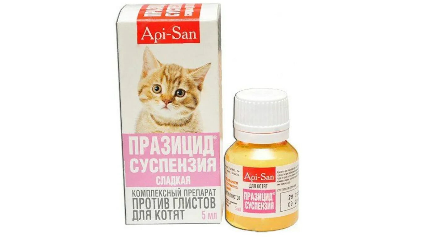 Глистогонное для кошек купить. От глистов котята Празицид. Паразицид суспензия для котят. Капли от глистов для котят 1 месяц. Глистогонные препараты для котят 2 месяца.