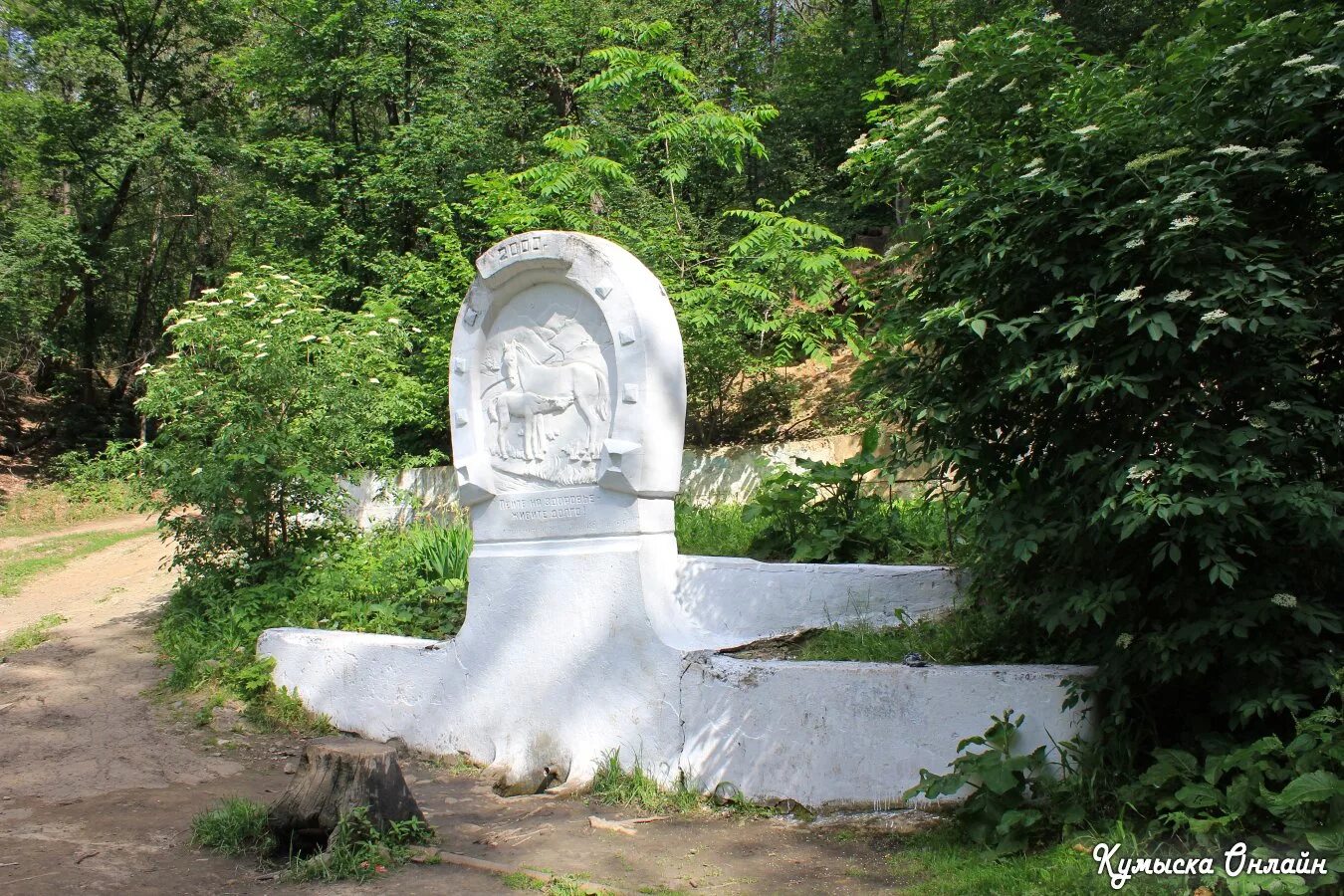 Саратовский родник. Кумысная Поляна Саратов Родник. Родники Кумысной Поляны Саратов. Татарский Родник Саратов. Татарский Родник Кумысная Поляна Саратов.