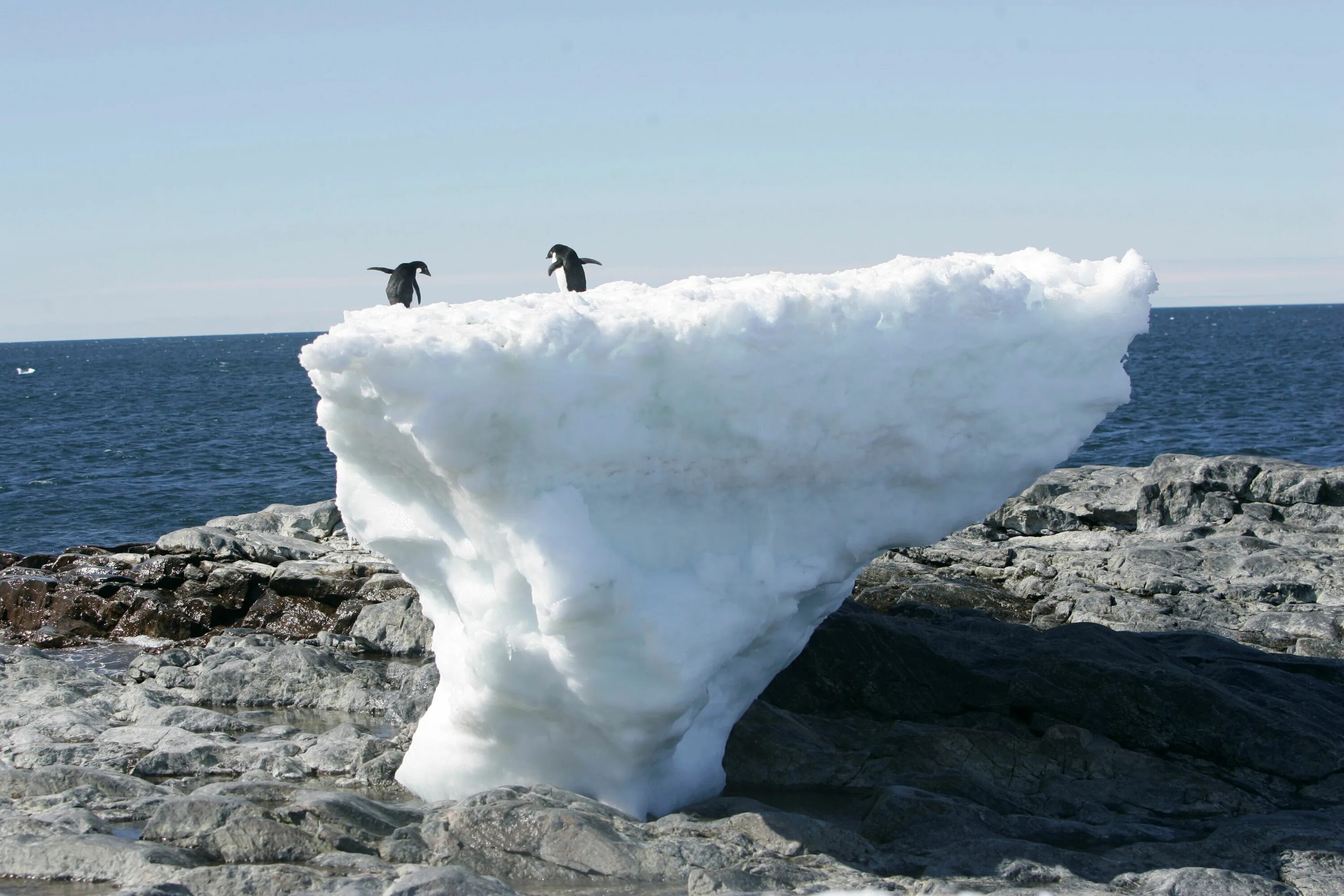 Растает весь океан. Таяние ледников в Антарктиде. Таяние ледников в Арктике. Ледники Антарктиды тают. Таяние льдов в Антарктиде.