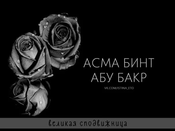Бинт абу бакр. Аиша абу бакр. асма бинт абу бакр. аиша бинт абу бакр фото. аиша бинт абу бакр книга.