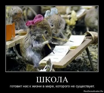 Школа готовит к жизни