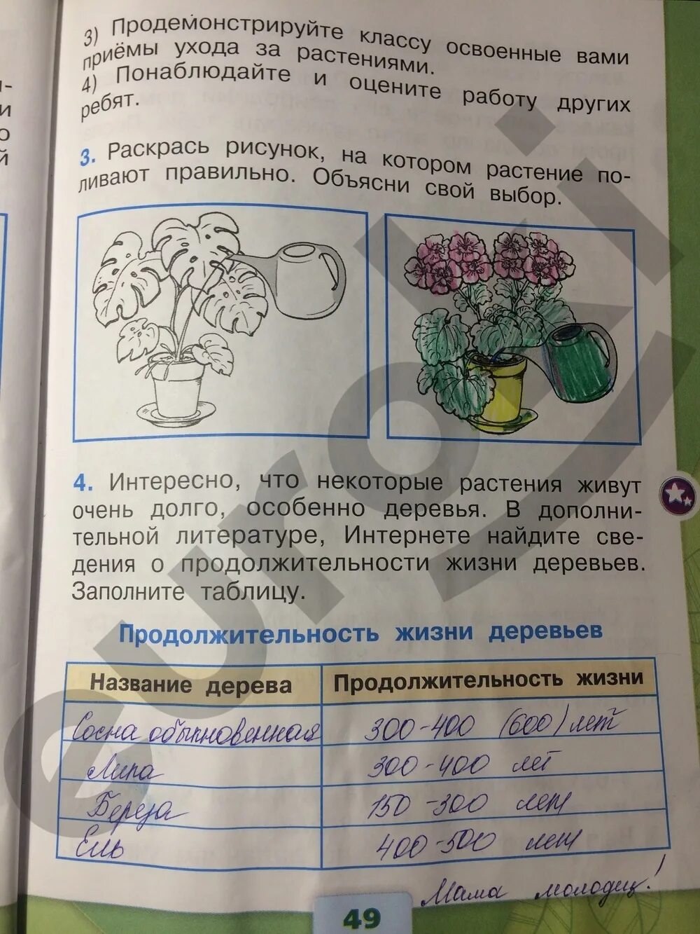 Окружающий мир тпо стр 49. Окружающий мир 1 класс рабочая тетрадь стр 49.