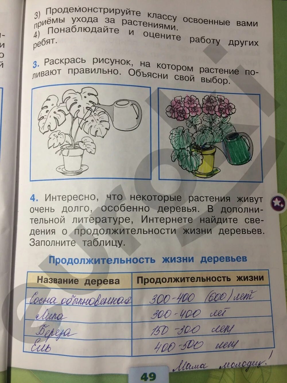 Окружающий мир 1 класс стр 49 ответы. Окружающий мир 1 класс рабочая тетрадь стр 49. Окружающий мир 1 класс рабочая тетрадь 1 часть Плешаков стр 48-49 ответы. Окружающий мир 1 класс рабочая тетрадь 1 часть стр 49 ответы. Окружающий мир 1 класс рабочая тетрадь 1 часть Плешаков ответы стр 49.