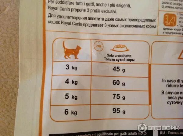 Сколько сухого корма давать коту в день