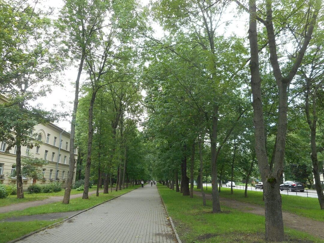 Пушкин октябрьский бульвар 19 дом. Г пушкин бульвар. Октябрьский бульвар 49 пушкин. Пушкин, октябрьский бульвар, д. Октябрьский бульвар 49 пушкин.