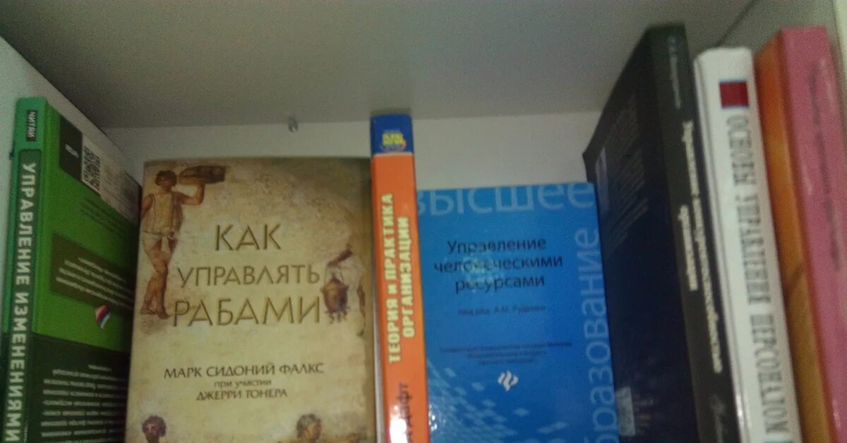 Как управлять рабами fb2. Как управлять рабами.