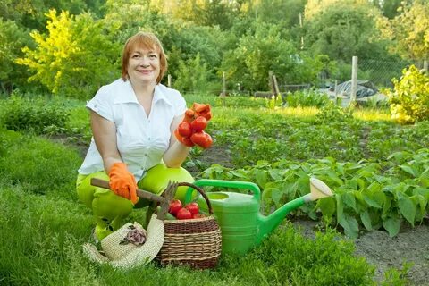 Каждому садоводу