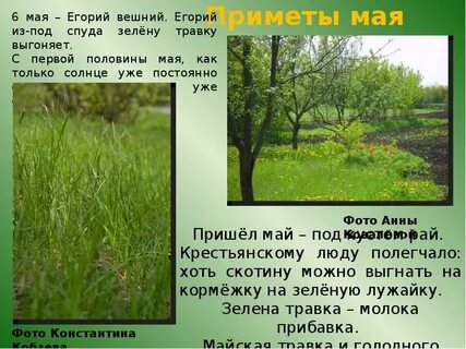 Май статьи