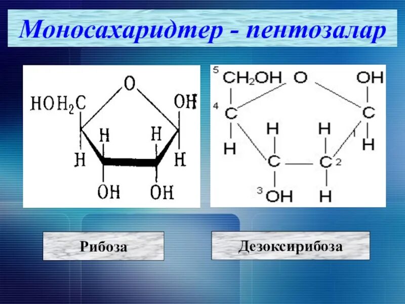 Глюкоза и рибоза. Формулы рибозы Глюкозы дезоксирибозы. Рибоза Глюкоза дезоксирибоза. Рибоза и дезоксирибоза.