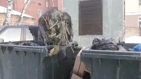 Новости дзен екатеринбург