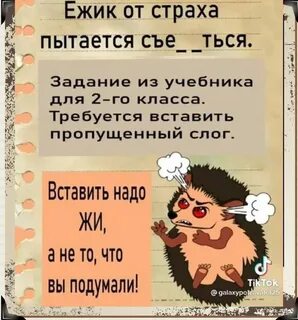 Бояться не пристало