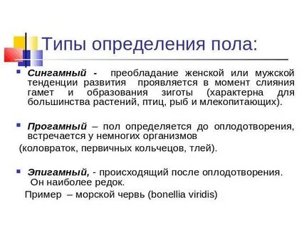 Пол определение общество