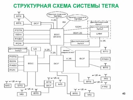 Структурная схема терминов