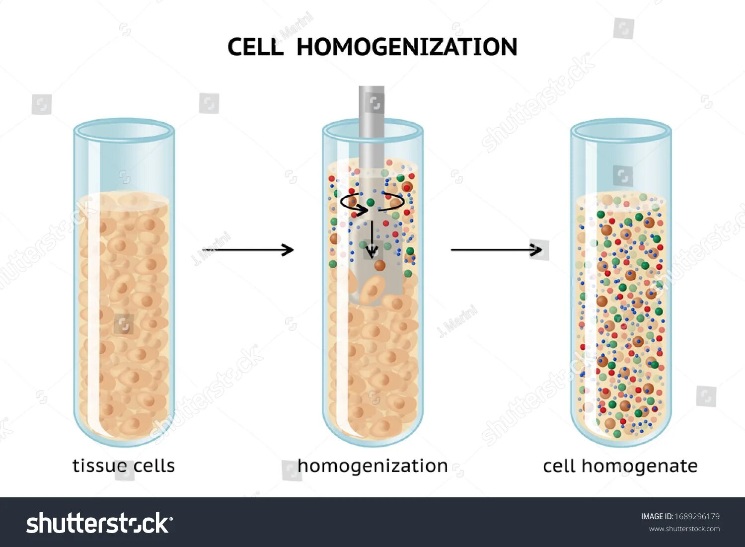 Break cell