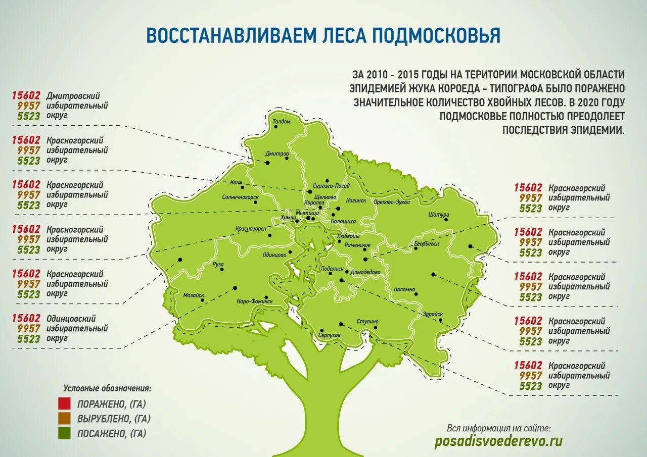 Сколько деревьев в москве. Карта лесов Подмосковья. Карта лесов Московской области. Сосновые леса в Подмосковье карта. Хвойные леса Подмосковья на карте.
