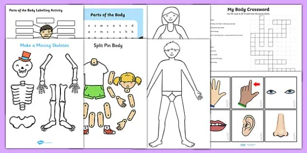 This is my body. Body Parts Craft for Kids. My body игры для детей. Human body activities. My body тема для 4 класса.