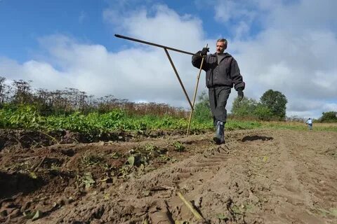 Получил участок что дальше