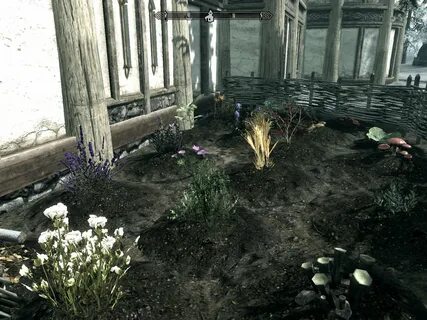 Skyrim plants