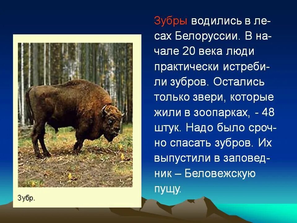 Запишите общий вид
