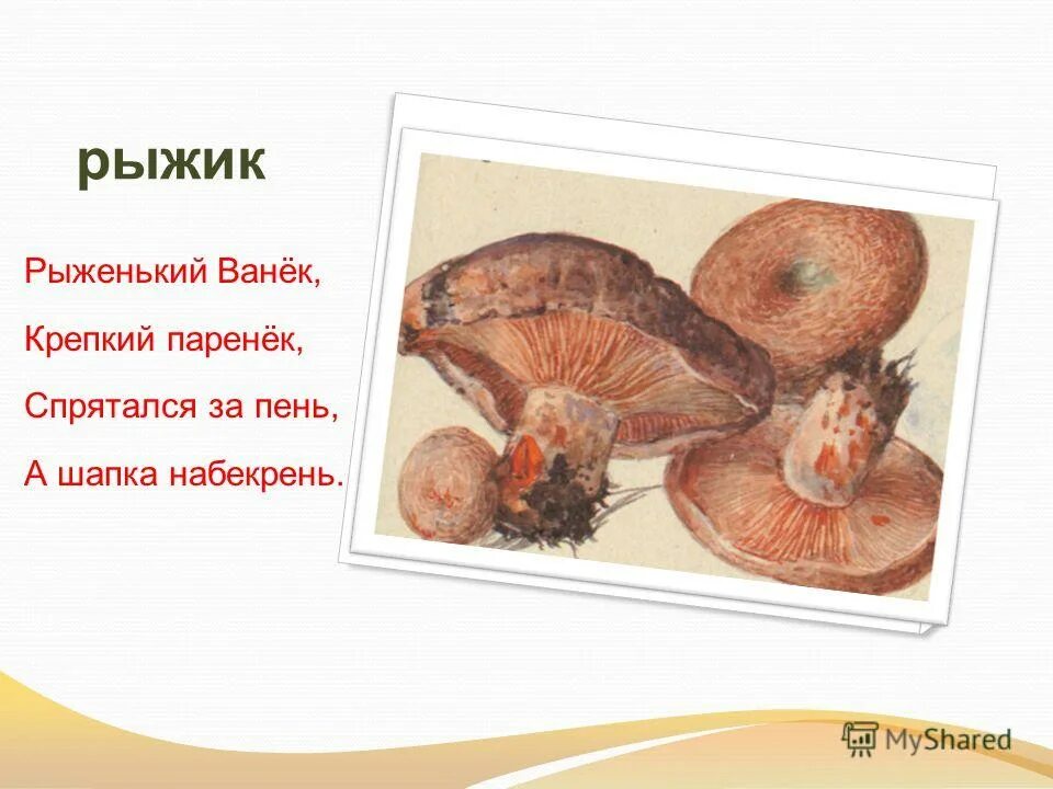 Бекрень. Надеть набекрень. Набекрень значение. Мозги набекрень смешные картинки. Шапка набекрень фото.