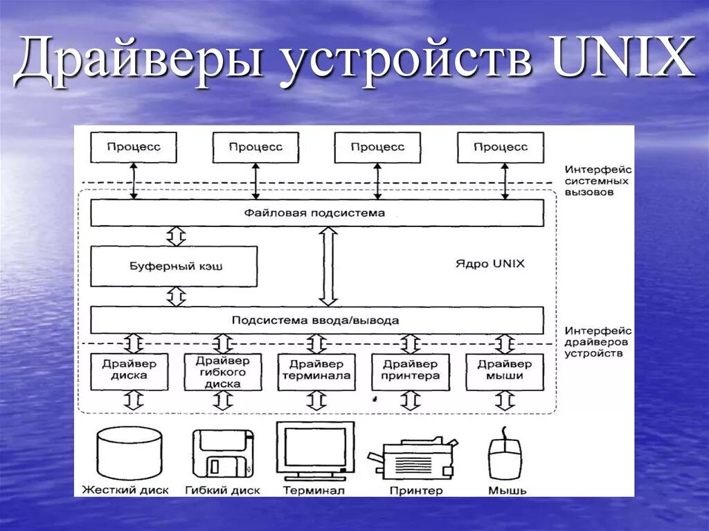 Видеосистему компьютера образуют. Определение понятия драйвер. Драйверы устройств это программы. Драйвер операционной системы. Драйверы устройств примеры.