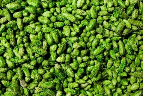 Коляска hop pearl