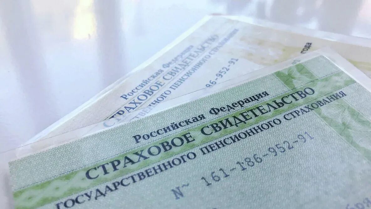 Снилс лист. Номер снилс. как выглядит снилс. полис снилс. снилс омс.