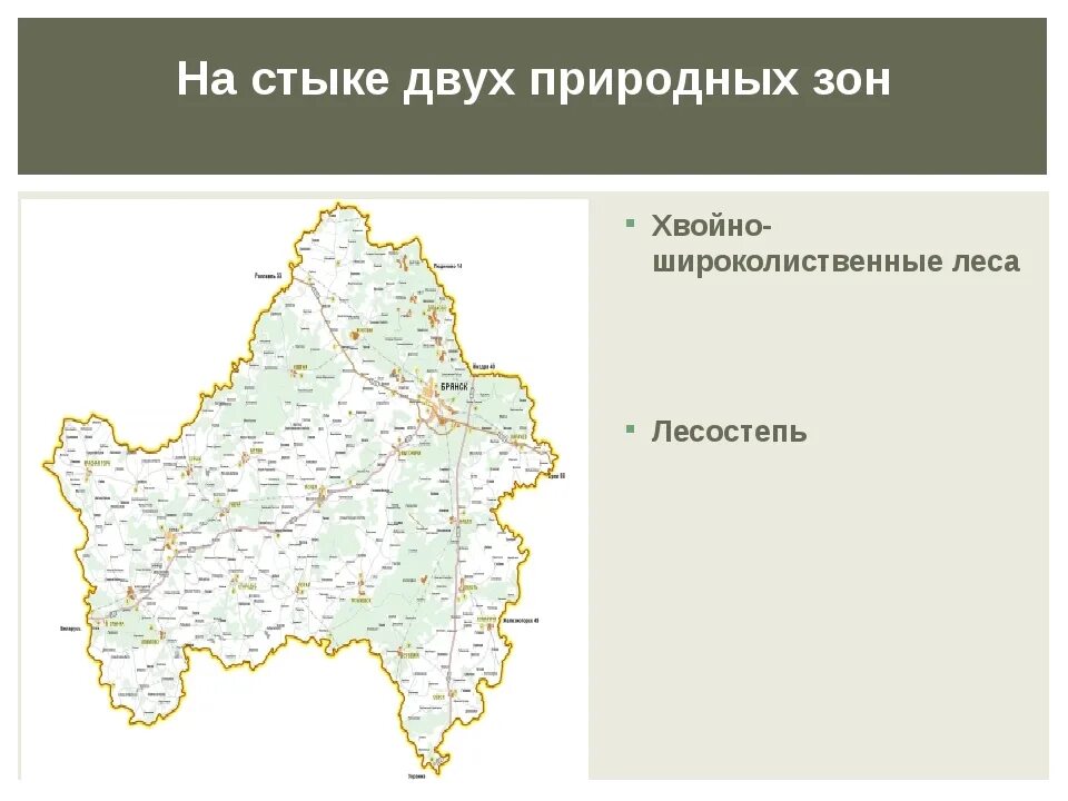 Природные зоны Брянской области. Природная зона Брянской области 4 класс. Географическое положение Брянской области на карте. Карта природных зон Брянской области
