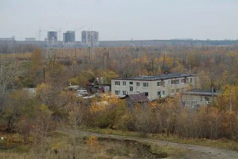 Береговой тюмень