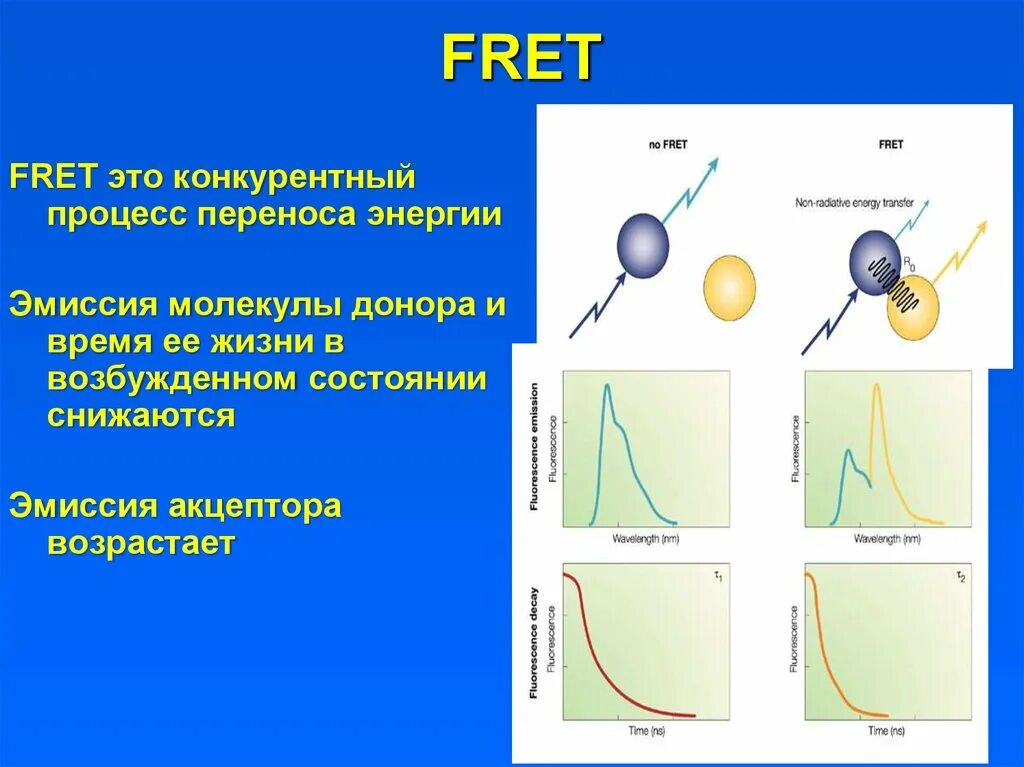 Fret перенос энергии. Эмиссии молекул. К одиночным молекулам относятся. Linear Energy transfer.