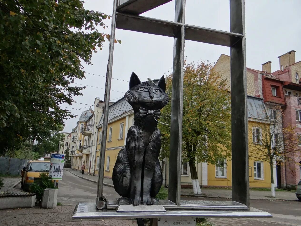 Памятник зеленоградским котам Зеленоградска. Зеленоградск памятник коту. Зеленоградск Калининградской памятник коту. Город котов Зеленоградск памятники. День зеленоградского кота