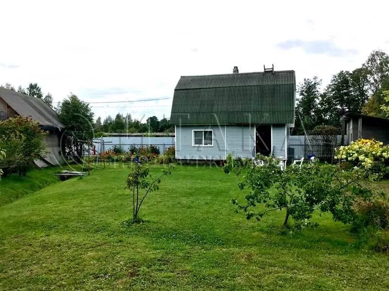 Город приморск снт полянка. Приморск ленинградская область дачи. Приморск ленинградская область дачи. Приморск дачи. Приморск ленинградская область дачи.